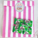 Chewing-gum Malabar (original) goût tutti-frutti x 5