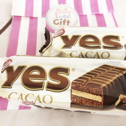 Anti-Gaspi : Gâteau chocolat Yes de Nestlé x2