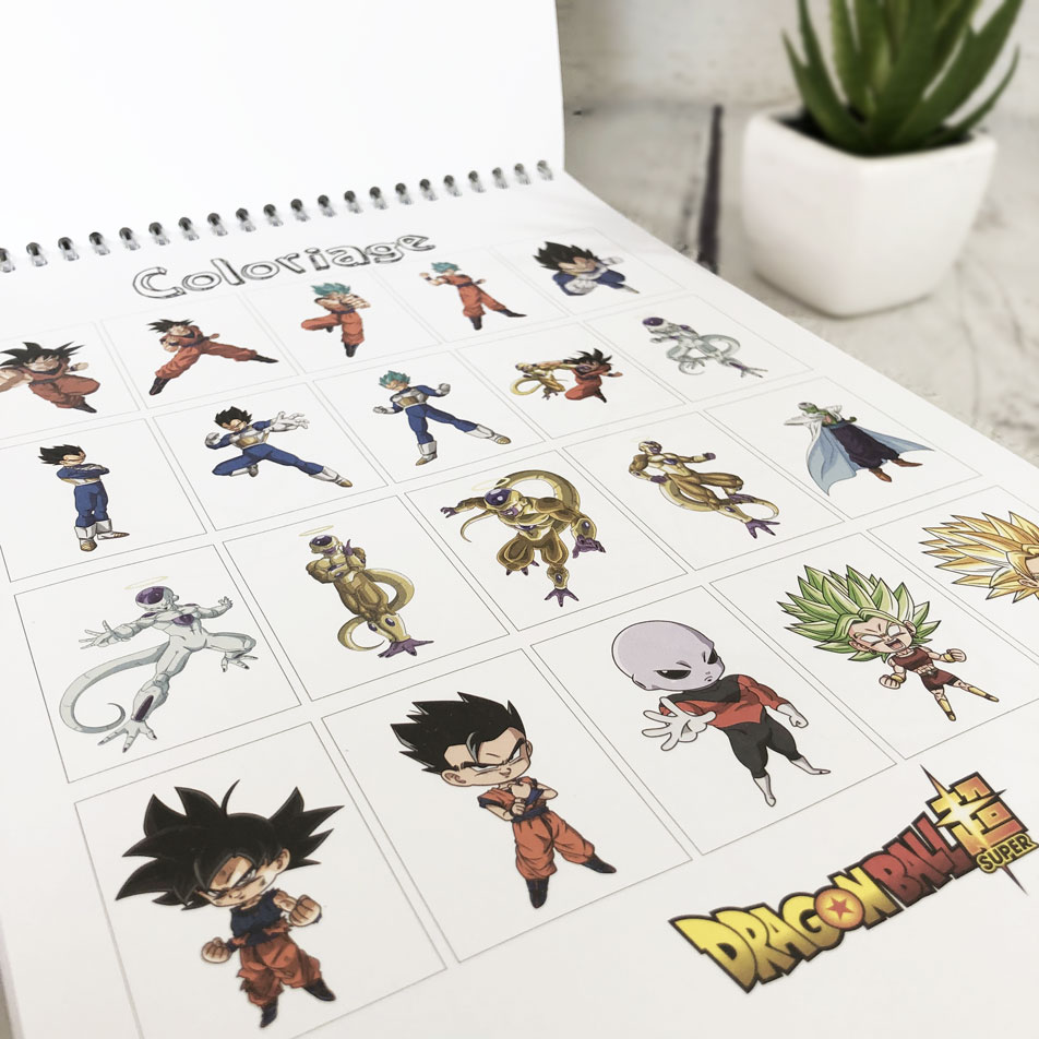 Bloc de coloriage A4 Dragon Ball 84 pages  Clairefontaine