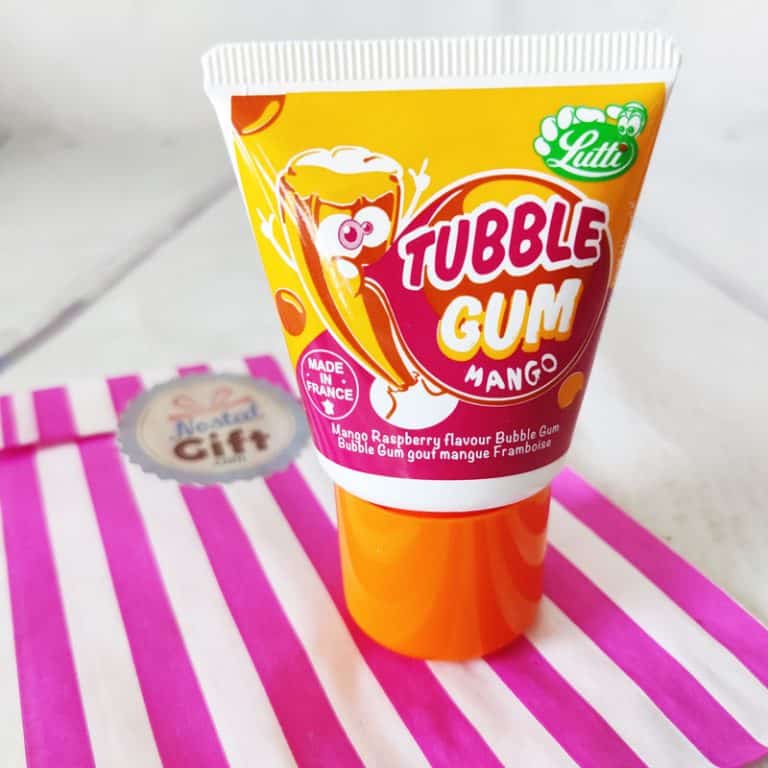 Tubble gum Chewing gum en tube mangue framboise x1