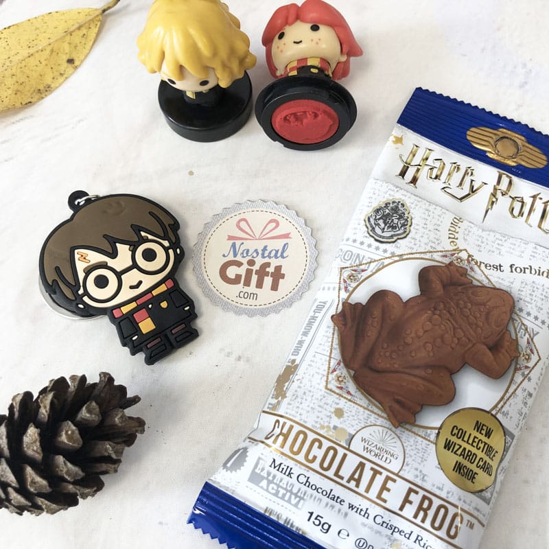 Coffret Cadeau collector « Harry Potter