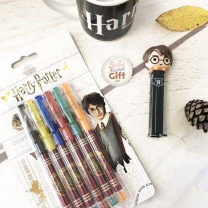 Coffret Cadeau collector « Harry Potter »