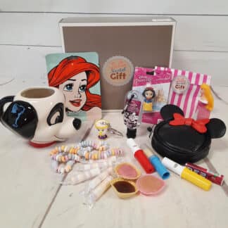 Coffret Cadeau "Fan de Disney"