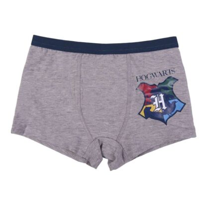 Harry Potter - Pack sous-vêtements : 2 Boxers et 2 paires de chaussettes