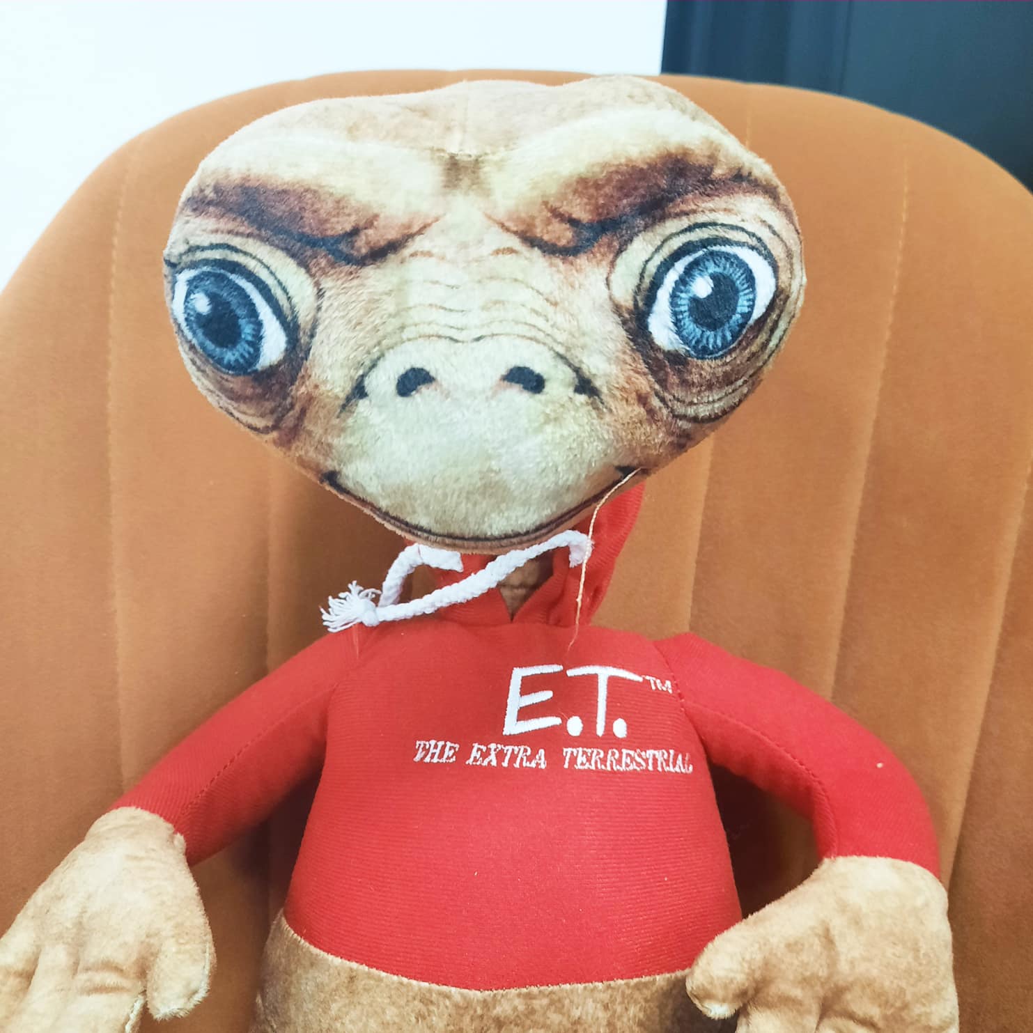 E.T. l'extraterrestre - Peluche 35 cm avec sweat rouge