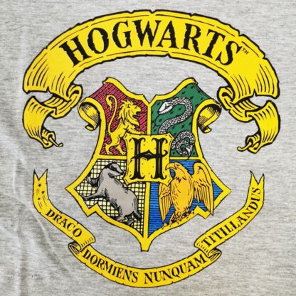Harry Potter - T-shirt gris manches courtes - Poudlard