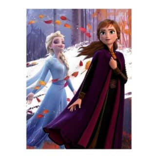 Disney - Plaid - La reine des neiges 2 (100 x 140 cm)