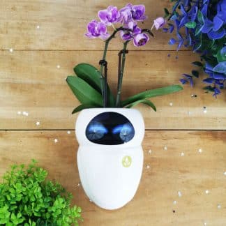 Wall-E - Pot de fleurs mural/Vase - Eve