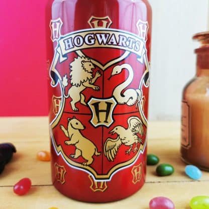 Harry Potter - Gourde en métal Hogwarts - 500 ml