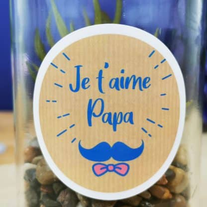 Terrarium "Je t'aime papa" - Plante artificielle fiole verre