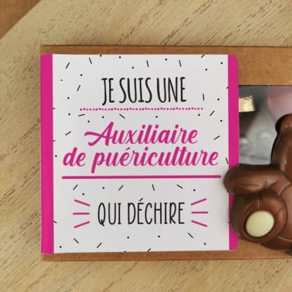 Oursons au chocolat au lait x3 "je suis une auxiliaire de puériculture qui déchire"